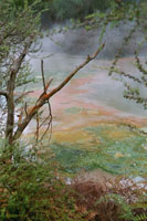 Rotorua